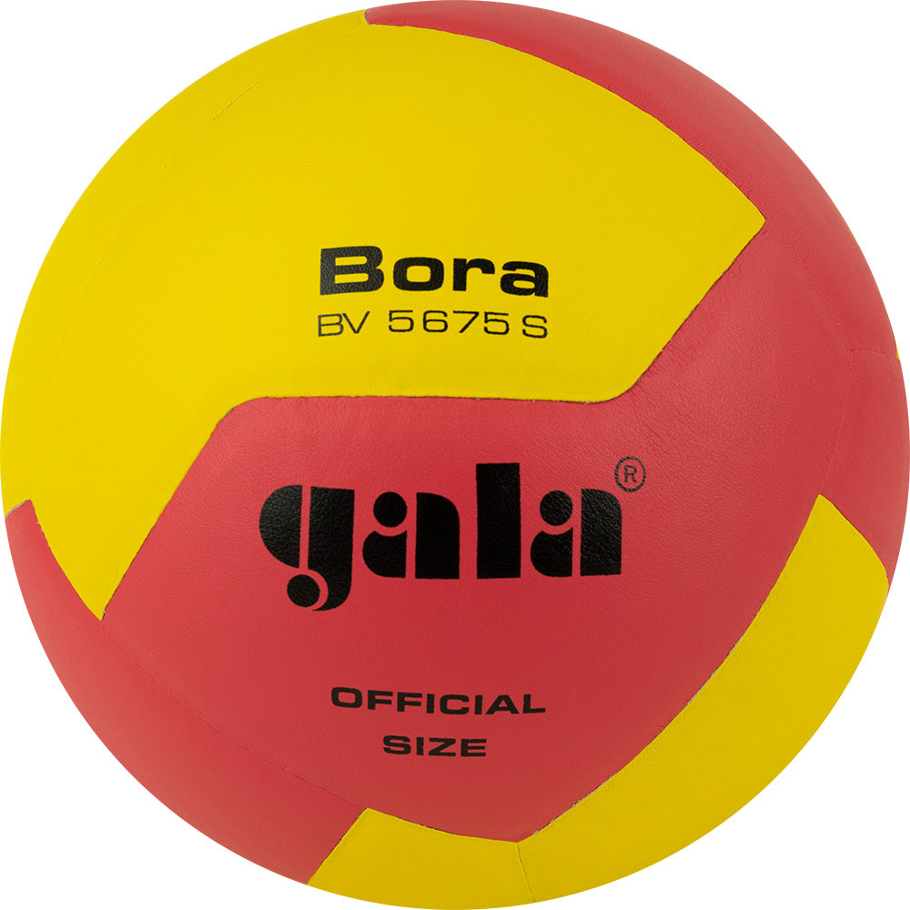 Волейбольный мяч GALA Bora 12 BV5675S 5