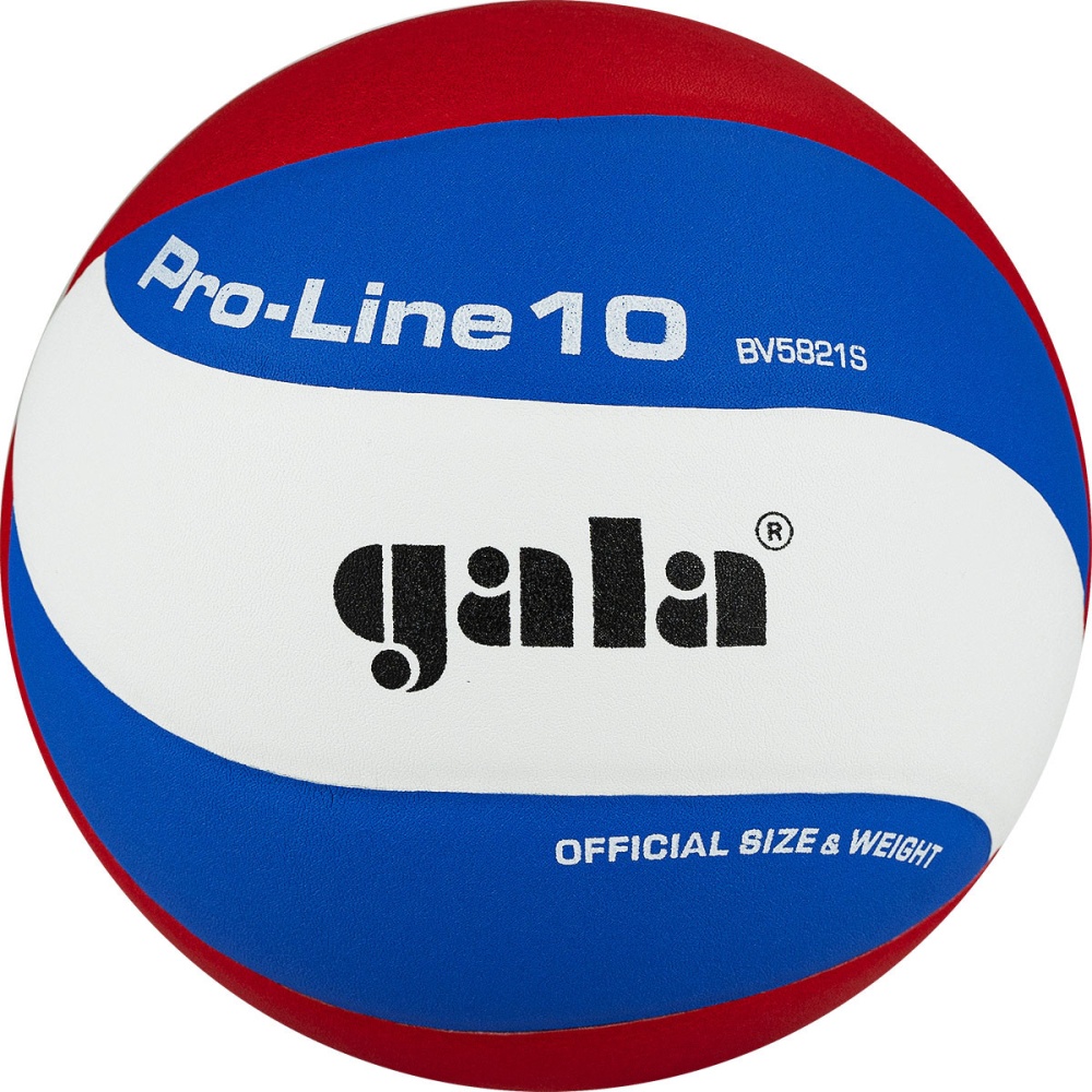 Волейбольный мяч Gala PRO-LINE 10 BV5821SA