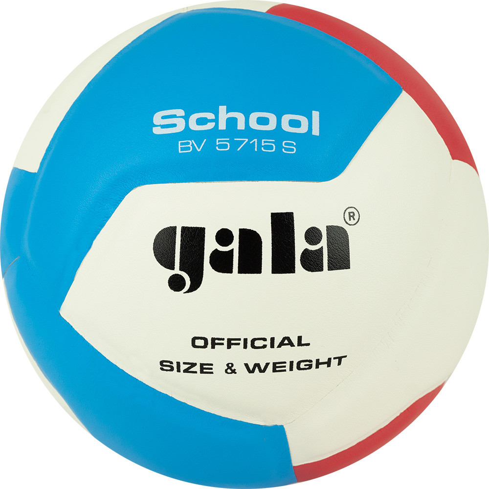 Волейбольный мяч GALA School 12 BV5715S 5