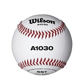 Бейсбольный мяч Wilson CHAMPIONSHIP