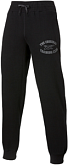 ASICS GRAPHIC BRUSHED CUFFED PANT Брюки