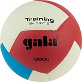 Волейбольный мяч GALA Training Heavy 12 BV5475S 5