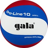 Волейбольный мяч Gala PRO-LINE 10 BV5821SA